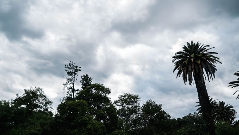 Qué dice el pronóstico para este sábado en Mendoza Foto: Santiago Tagua/MDZ