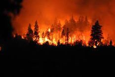 asi vivio fernanda el momento en que el fuego se acerco a su casa: otra vez la misma pesadilla