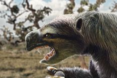 El estudio del Conicet aporta datos clave sobre la megafauna sudamericana y su vínculo con los primeros humanos del continente.