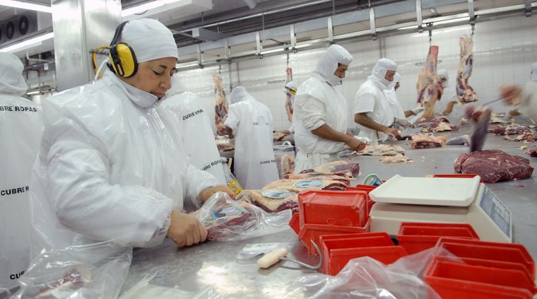 Crecieron las exportaciones de carne Foto: NA