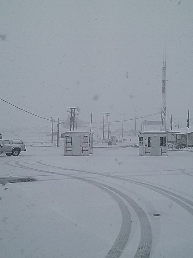 Foto: Twitter Los Libertadores