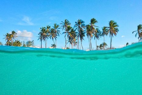 Hay menos de una veintena de islas con más de un soberano. Hay menos de una veintena de islas con más de un soberano.