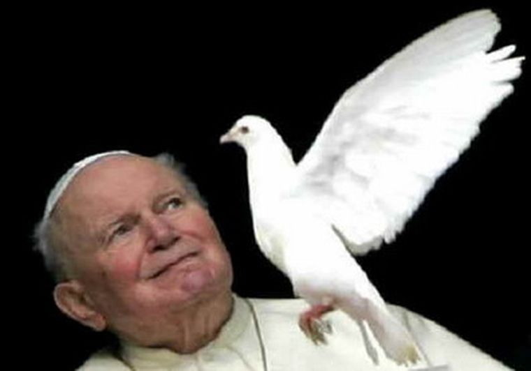 Foto: web