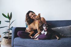 GlocalME lanza un teléfono para mantenerte comunicado con tus mascotas.