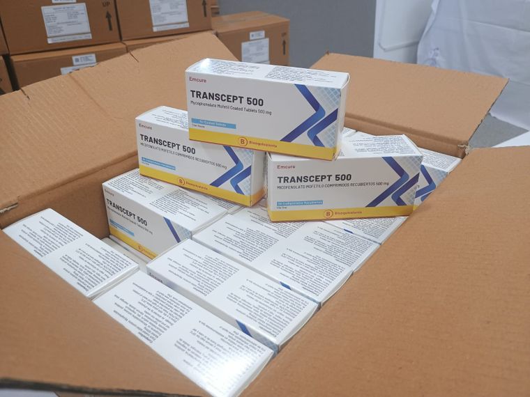 WhatsApp Image 2025-11-13 at 1.20.02 PM