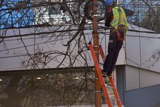 Foto: ALF PONCE MERCADO / MDZ Foto: ALF PONCE MERCADO / MDZ