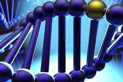 MDZol | Foto: flickr.com