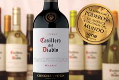 concha y toro, la marca de vinos mas poderosa de america, desembarca en argentina