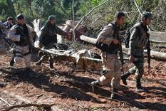 la desaparicion de una adolescente en el monte paraguayo, un nuevo capitulo en la vida del epp