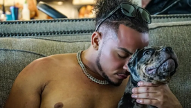 El influencer había culpado a su perro por la muerte de su pareja, que llevó a que sea sacrificado. El influencer había culpado a su perro por la muerte de su pareja, que llevó a que sea sacrificado.