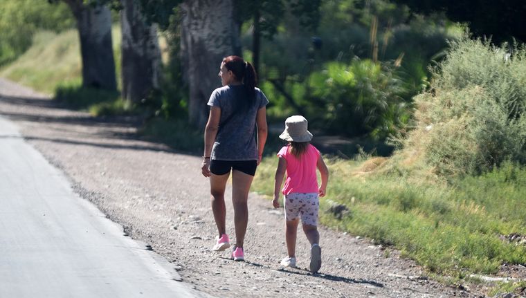 Anses oficializó la actualización del SUAF en el Boletín Oficial.Foto: Rodrigo DAngelo / MDZ