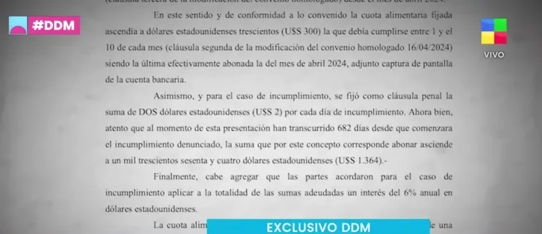 La denuncia contra el participante. La denuncia contra el participante.
