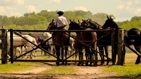 La tradición, la calma y el buen comer esperan muy cerca de la ciudad. Foto: Shutterstock