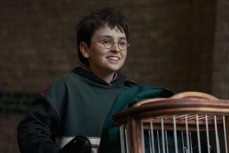 Harry Potter, la serie. Harry Potter, la serie.