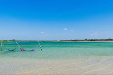 Estas playas se encuentran en estados del norte de Brasil. Foto: Shutterstock