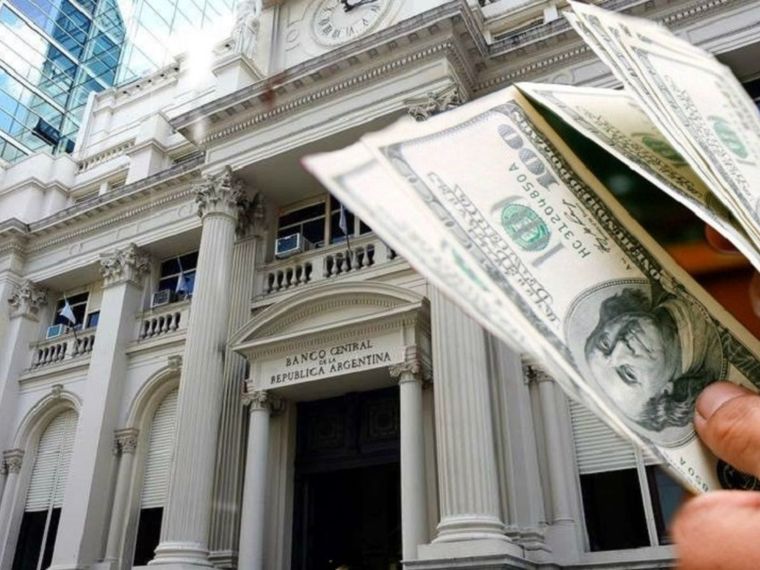 El Banco Central suspendió a varios por actuar como coleros digitales y no podrán comprar dólares Foto: Gentileza El Cronista