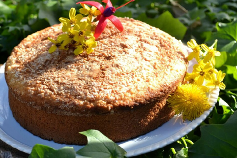 Recreá la receta de torta de coco y dulce de leche como la de la panadería.