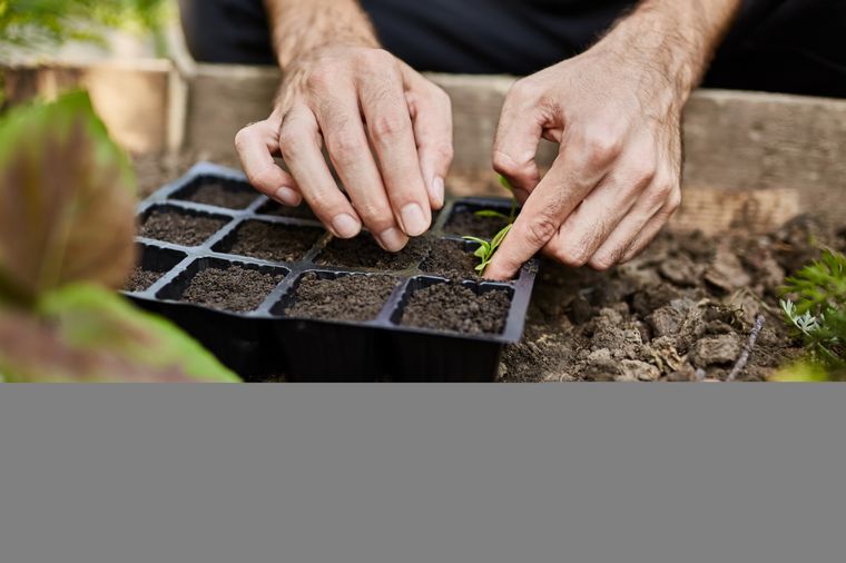 Foto: Foto de Comida creado por cookie_studio - www.freepik.es