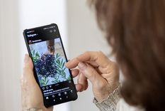 El teléfono móvil que deberías comprar en 2024 Foto: NA El teléfono móvil que deberías comprar en 2024 Foto: NA