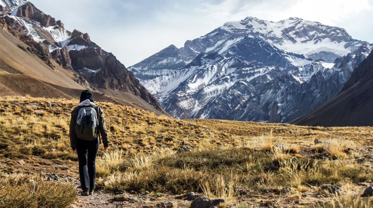 Foto: shutterstock.com