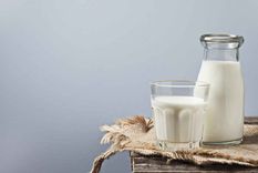 Tres recetas para celebrar el Día de la Leche Foto: Shutterstock