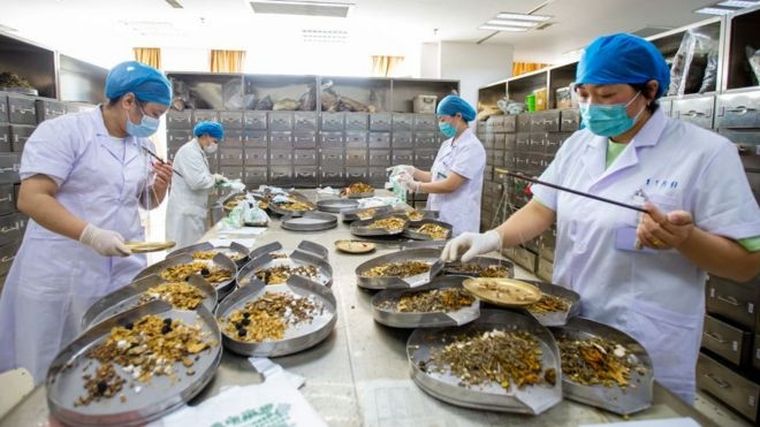 El gobierno de China ha visto en la pandemia de covid-19 una oportunidad para tratar de internacionalizar la medicina tradicional del país Foto: BBC Mundo