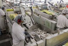 La industria pesquera tiene serios problemas de competitividad y los aranceles que impuso Estados Unidos agrava la situación Foto: NA