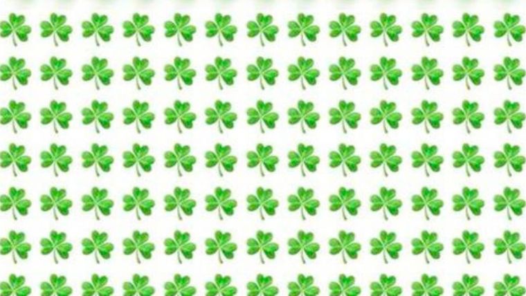 Acertijo visual, reto visual, trébol Pinterest Foto: Archivo MDZ