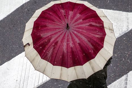 smn: el pronostico nacional para este viernes 11 de julio smn: el pronostico nacional para este viernes 11 de julio