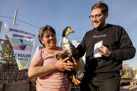 El pato Juan y su libreta sanitaria El pato Juan y su libreta sanitaria