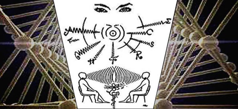 Las palabras pueden programar el ADN. Foto: Yamila Marañón