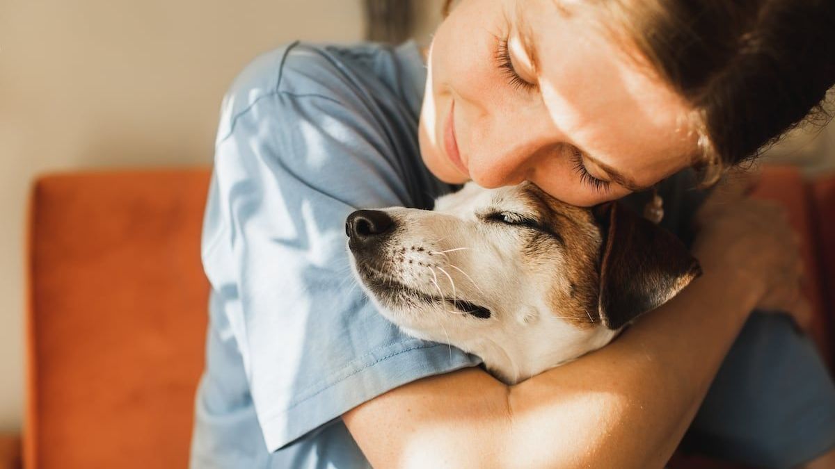 Lo que revela la psicología de las personas que acarician más a sus mascotas