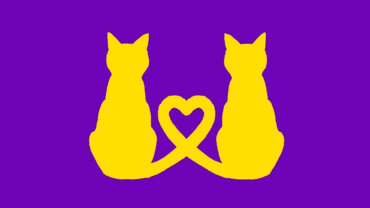 Test de personalidad