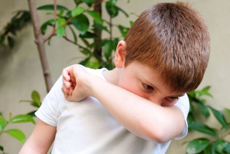 Los menores de edad son un grupo vulnerable ante la tos convulsa o coqueluche. Los menores de edad son un grupo vulnerable ante la tos convulsa o coqueluche.