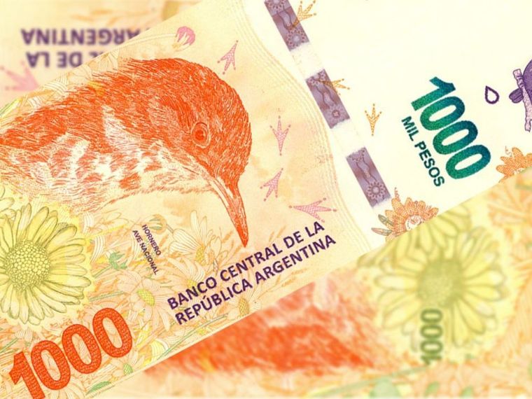 Conocé quienes pueden cobrar este bono