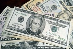 El dólar blue ya está en 183 pesos Foto: ALF PONCE MERCADO / MDZ