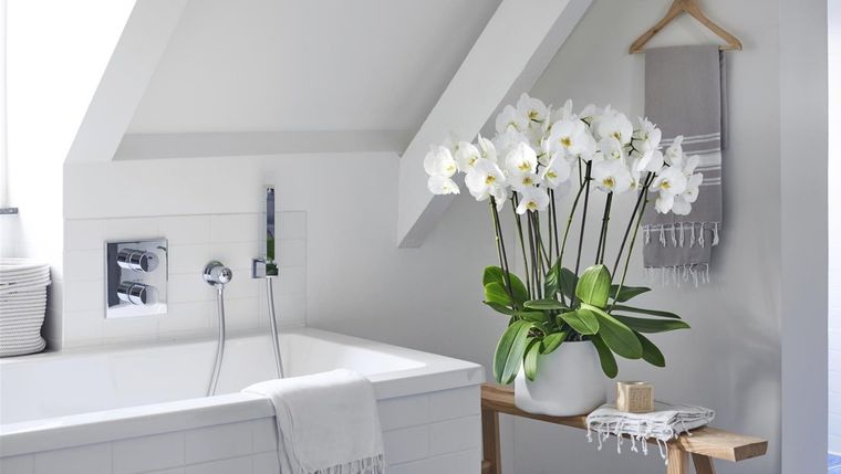 Decora tu baño con flores naturales para tener un aroma dulce y placentero. Foto: reehouse.co