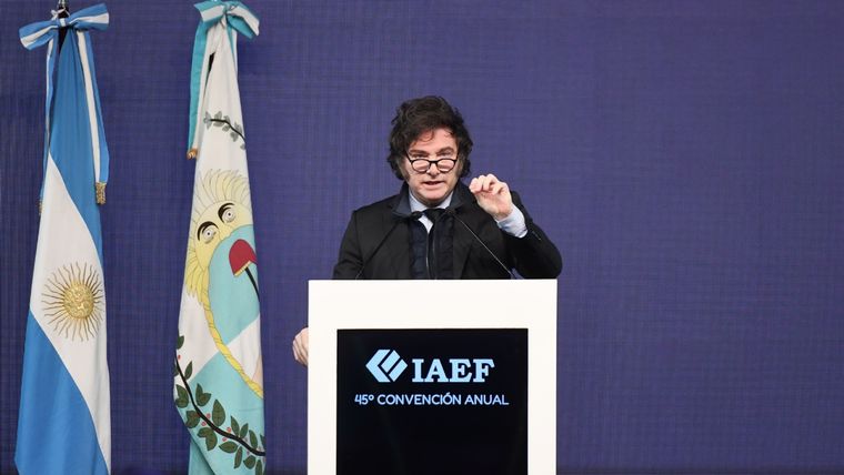 Foto: Santiago Tagua/MDZ