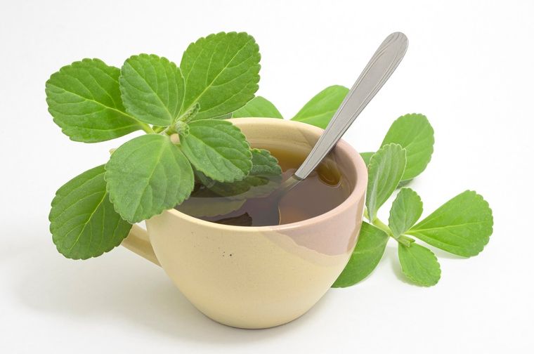 Foto: Ph Shutterstock