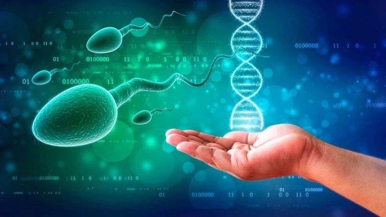 La medicina ayurevada ofrece un enfoque holístico para mantenernos saludables, teniendo en cuenta también la importancia de la fertilidad en la vida de muchas personas. Foto: MDZ