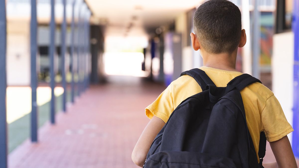 Votá en la encuesta: ¿qué medida hay que tomar y quién es el principal responsable por la ola de amenazas en las escuelas?
