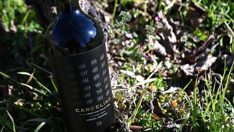 El nombre Carcelino nace de la fusión de las palabras “cárcel” y “vino”, como forma de visibilizar su origen sin estigmas, resignificando el contexto de encierro a través del trabajo y la libertad. El nombre Carcelino nace de la fusión de las palabras “cárcel” y “vino”, como forma de visibilizar su origen sin estigmas, resignificando el contexto de encierro a través del trabajo y la libertad.
