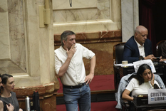 causa vialidad: ratificaron el decomiso de los bienes de maximo y florencia kirchner