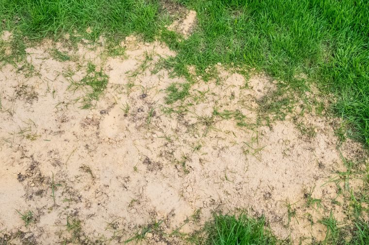 Los beneficios de la arena para el jardín. Foto: Fuente: Shutterstock