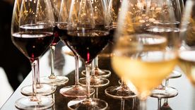 El tinto o el blanco... ¿Cuál es el tuyo?
