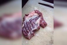 Carne cruda que se mueve.