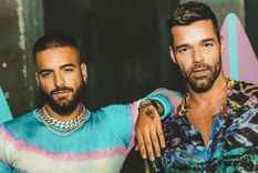 Maluma y Ricky Martin, dos celebridades que decoraron sus casas con ítems del Feng Shui. Foto: Instagram
