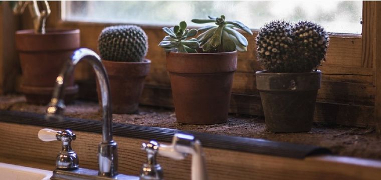 Sin duda, las plantas pueden ser grandes aliadas para mejorar el ambiente de un hogar. Foto: Pixabay - pixabay.com