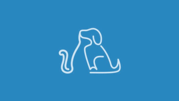 Test de personalidad