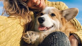 Tus mascotas dan señales.